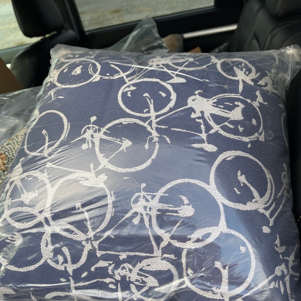 Surya pedal power 18 x 18 accent pillow